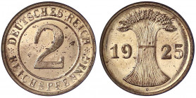 Kursmünzen
2 Reichspfennig, Kupfer, 1923-1936
1925 D. Polierte Platte, leicht fleckig, selten. Jaeger 314.