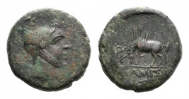 Pontos, Amisos, time of Mithradates VI Eupator, c. 85-65 BC. Æ (24mm, 13.07g, 12h). Helmeted head of Mithradates VI as the hero Perseus r. R/ Pegasos ...