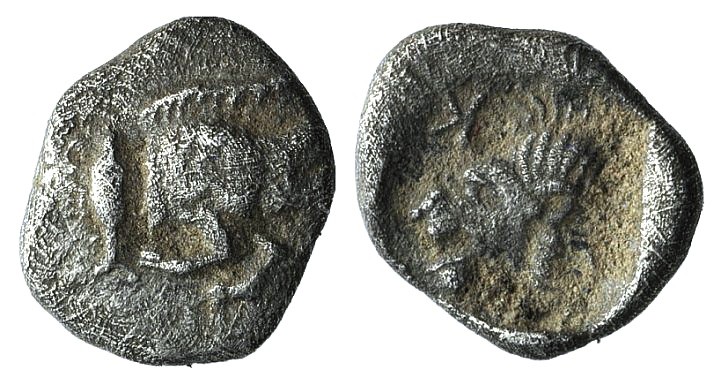 Mysia, Kyzikos, c. 450-400 BC. AR Hemiobol (7mm, 0.27g, 1h). Forepart of boar r....