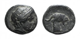 Aeolis, Aigai, 4th-3rd centuries BC. Æ (8mm, 0.94g, 12h). Laureate head of Apollo r. R/ Head of goat r. SNG Copenhagen 1; SNG von Aulock 1593. Green p...