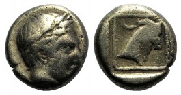 Lesbos, Mytilene, c. 454-428/7 BC. EL Hekte – Sixth Stater (9mm, 2.19g, 12h). Laureate head of Apollo r. R/ Head of goat r. in linear square within in...