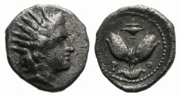 Islands of Caria, Rhodos. Rhodes, c. 275-250 BC. AR Diobol (9mm, 0.93g, 12h). Radiate head of Helios r. R/ Two rose buds; vase above. HGC 6, 1451. Ton...