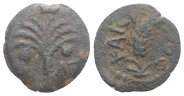 Judaea, Procurators. Coponius (6-9 CE). Æ Prutah (16mm, 1.96g, 11h). Jerusalem, year 36 of Augustus (5/6 CE). Grain ear. R/ Palm tree; date across fie...