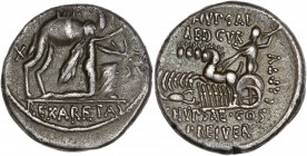 M. Aemilius Scaurus (58 av.J.C.) - Ar - Denier. 
A/ M SCAVR AED CVR EX S C REXARETAS,
Arétas agenouillé à droite,tenant un rameau d'olivier et les rên...