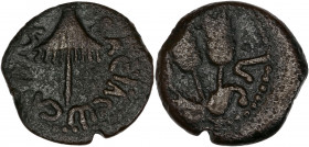 Jérusalem - Agrippa Ier Prutah (37-44 apr. J.-C.) - Bronze - Prutah. 
A/ Ombrelle en forme de canope avec des franges,
BASILEWS AGRIPPA. 
R/ Trois épi...
