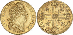Louis XIV (1643-1715) - Or - Louis d'or au soleil.
1713 V - Troyes,
A/ LVD XIIII D G FR ET NAV REX 1713,
Buste de Louis XIV à droite.
R/ IMP CHRS REGN...