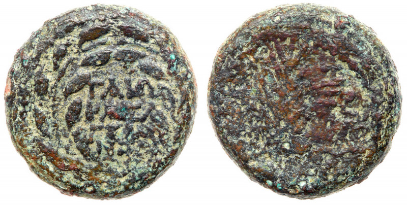 Herod Antipas, 4 BCE - 39 CE. AE half-denomination (18 mm; 6.24). Mint of Seppho...