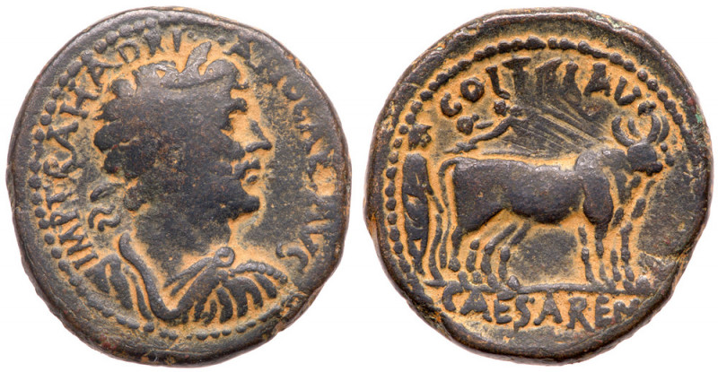 Hadrian. &AElig; (18.34 g), AD 117-138. Caesarea Maritima in Samaria. IMP TRA HA...