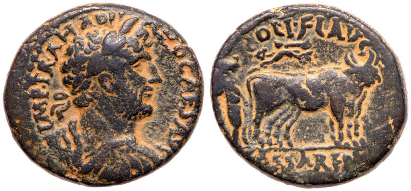 Hadrian. &AElig; (18.54 g), AD 117-138. Caesarea Maritima in Samaria. IMP TRA HA...