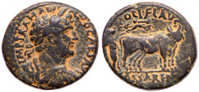 Hadrian. Æ (18.54 g), AD 117-138. VF
