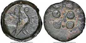 SICILY. Panormus (Ziz). Ca. 415-405 BC. AE hemilitron (23mm). NGC Choice Fine, smoothing. SYS (in Carthaginian), cock standing right / Six large pelle...