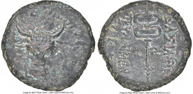 PAPHLAGONIAN KINGDOM. Pylaemenes. Ca. 133-104 BC(?). AE (17mm, 12h). NGC XF. Head of bull facing / ΒΑΣΙΛΕΩΣ / ΠΥΛΑΙΜΕΝΟΥ / ΕΥΕΡΓΕΤΟΥ, winged caduceus....