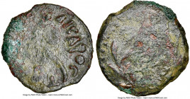 JUDAEA. Roman Procurators. Pontius Pilate (AD 26-36). AE prutah (15mm, 11h). NGC Fine. Dated uncertain regnal year of Tiberius. TIBEPIOY KAICAPOC, lit...