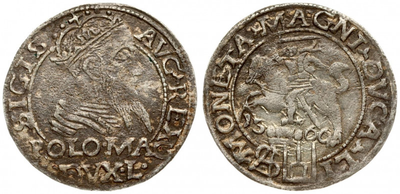 Lithuania 1 Grosz 1566 Tykocin. Sigismund II Augustus (1545-1572). Obverse: Crow...