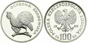 Poland 100 Zlotych 1980MW Cappercaillie. Obverse: Imperial eagle above value. Reverse: Cappercaillie. Silver. Y 121