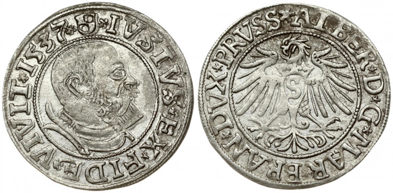 Germany Prussia 1 Groschen 1537 Albrecht (1525-1569). Obverse: Bust right in cir...