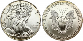 United States 1 Dollar 2020 'American Silver Eagle' Bullion Coin. Obverse: Walking Liberty. Lettering: L I B E R T Y IN GOD WE TRUST AAW 2020. Reverse...