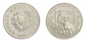 Cyprus 1986, Pound , in Gem Proof conditionKM 59a