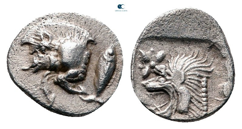 Mysia. Kyzikos circa 525-475 BC. 
Hemiobol AR

9 mm, 0,38 g



very fine