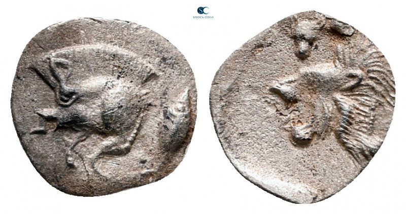 Mysia. Kyzikos circa 525-475 BC. 
Hemiobol AR

9 mm, 0,20 g



very fine