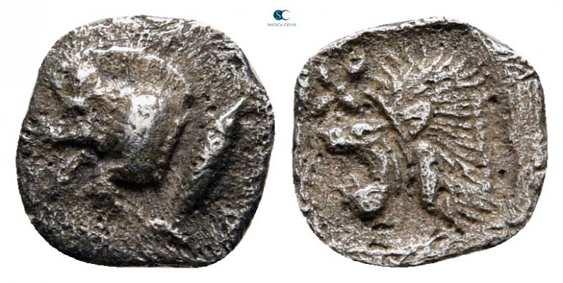 Mysia. Kyzikos circa 525-475 BC. 
Hemiobol AR

9 mm, 0,33 g



nearly ver...