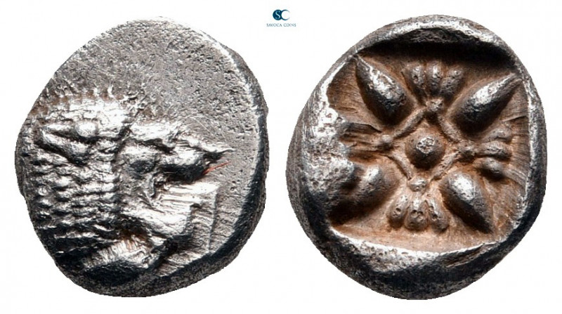 Ionia. Miletos circa 525-475 BC. 
Diobol AR

10 mm, 1,17 g



very fine