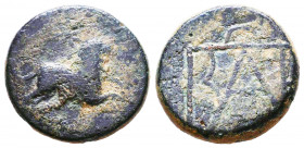 KINGS OF BOSPOROS. Polemo I (Circa 14/3-10/9 BC). Ae.
Reference:
Condition: Very Fine

Weight: 6,2 gr
Diameter: 19,9 mm