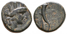 Greekk Coins Ae Cappadocia,
Reference:
Condition: Very Fine

Weight: 5,8 gr
Diameter: 17,1 mm