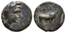 Greekk Coins Ae Cappadocia,
Reference:
Condition: Very Fine

Weight: 2,9 gr
Diameter: 16 mm