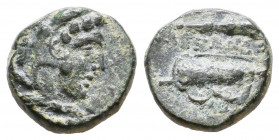 Macedonian Kingdom. Alexander III the Great. 336-323 B.C. AE.

Weight: 1,6 gr
Diameter: 11,3 mm