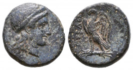 Greek Coins, Ptolemy V Epiphanes AE. 205-180 BC. 

Weight: 3,8 gr
Diameter: 16,4 mm