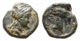 AEOLIS. Aigai. Ae (4th-3rd centuries BC).

Weight: 0,8 gr
Diameter: 9 mm