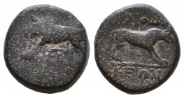 Greek Phrygia, Laodicea AE. SNG COP. -. SNG v. Aulock -. BMC 52.

Weight: 3,8 gr
Diameter: 14,8 mm