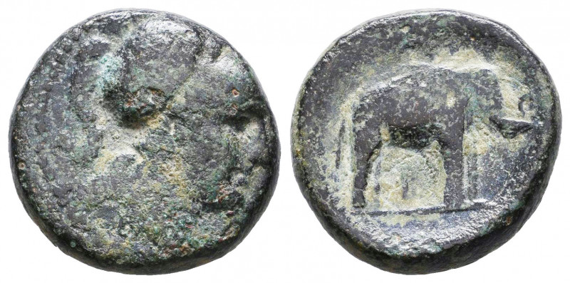 Campania, Capua. local civic issue. ca. 216-211 B.C. AE.

Weight: 7,7 gr
Diam...
