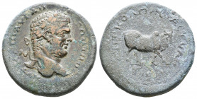Cappadocia. Tyana. Caracalla AD 211-217.
Bronze Æ

Weight: 16,6 gr
Diameter: 29,9 mm