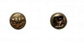 Ionia. Uncertain mint. Circa 600-550 BC. EL 1/24 Stater (6mm, 0.64g). Milesian weight standard. Lion head facing / Incuse square with pattern. Rosen 2...