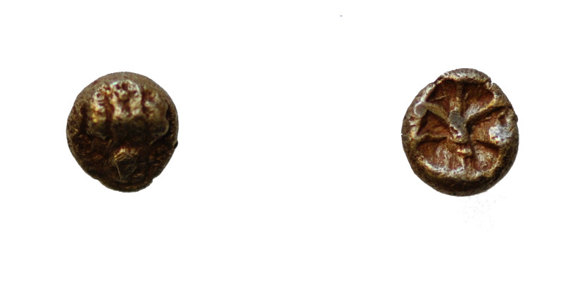 Ionia. Uncertain mint. Circa 600-550 BC. EL 1/24 Stater (5.5mm, 0.56g). Milesian...