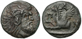 Greece, Thrace / Chersonesus, Panticapaeum (345-310 BC) AE20 Obverse: Bearded head of satyr right. Reverse: Π-Α-Ν Forepart of griffin left; below, stu...