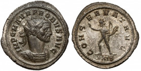 Probus (276-282) Antoninian, Rome Obverse: IMP C M AVR PROBVS AVG
 Radiate, cuirassed bust right. Reverse: CONSERVAT AVG / XXIB Sol walking left, rai...