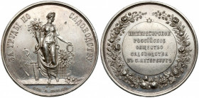 Russia, Medal - Imperial Horticultural Society of Petersburg Bardzo ładny. Medal nagrodowy z czasów cara Aleksandra III, sygnowany B.H.P. (Nikonov). ...