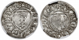 Kazimierz IV Jagiellończyk, Szeląg Gdańsk - orzeł BEZ KORONY - menniczy Niniejsza moneta to nie tylko piękny egzemplarz, ale również bardzo rzadka odm...