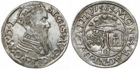 Zygmunt II August, Dwugrosz Wilno 1565 - b. rzadki Bardzo ładny egzemplarz pierwszego dwugrosza Rzeczpospolitej. Nieznacznie obiegowy, z wyraźną śwież...