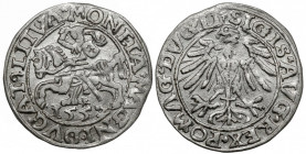 Zygmunt II August, Półgrosz Wilno 1557 - Behm - błąd DVG - nieopisany Bardzo rzadka, nieopisywana w katalogu monet Zygmunta II Augusta odmiana. Półgro...