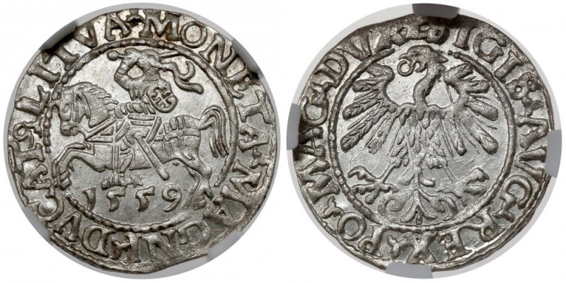 Zygmunt II August, Półgrosz Wilno 1559 - okazowy Piękny, menniczy egzemplarz. Ba...