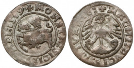 Zygmunt I Stary, Półgrosz Wilno 1519 - odwrócone N Odmiana z literami N w obiciu lustrzanym po obydwóch stronach monety. 
Reference: Ivanauskas 1S194...