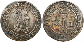 Zygmunt II August, Czworak Wilno 1568 - LI/LITV - ładny Naturalnie obiegowy, ładny w prezencji egzemplarz w patynie dawnego zbioru. 
 Odmiana z tarcz...