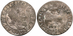 Zygmunt II August, Grosz na stopę litewską 1555, Wilno Pierwszy rok bicia podczas dzierżawy żydowskiej, Feliksa, który po objęciu mennicy wileńskiej w...