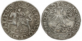 Zygmunt II August, Półgrosz Wilno 1564 - Pogoń 19 - LITV - b.rzadki Bardzo rzadka odmiana legendowa dla tego typu Pogoni (typ 19 - z długą tarczą z wc...