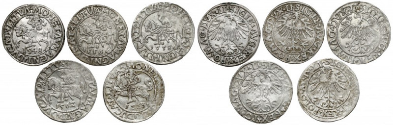 Zygmunt II August, Półgrosz Wilno 1548-1563, zestaw (5szt) Ładne egzemplarze. Re...