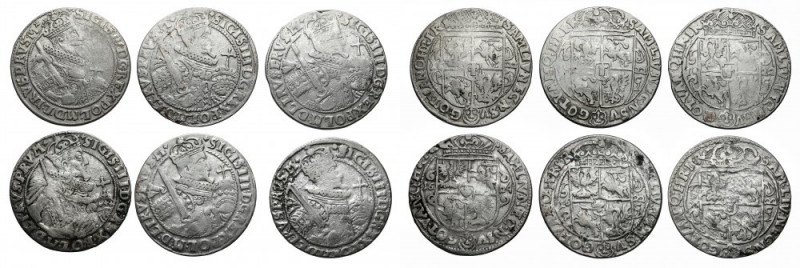 Zygmunt III Waza, Ort Bydgoszcz 1622-1624, zestaw (6szt) 
Grade: VF/VF- 

Sig...